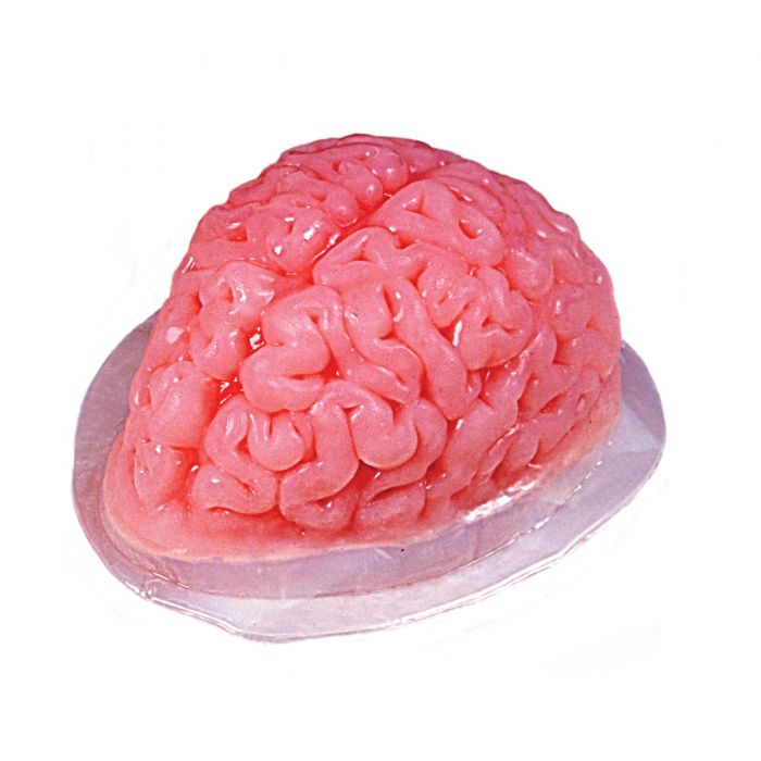 Brain Gelatin Mold