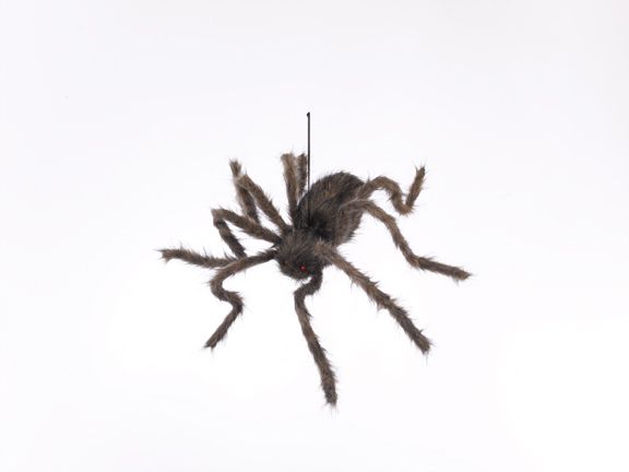 30" Black Hairy Spider