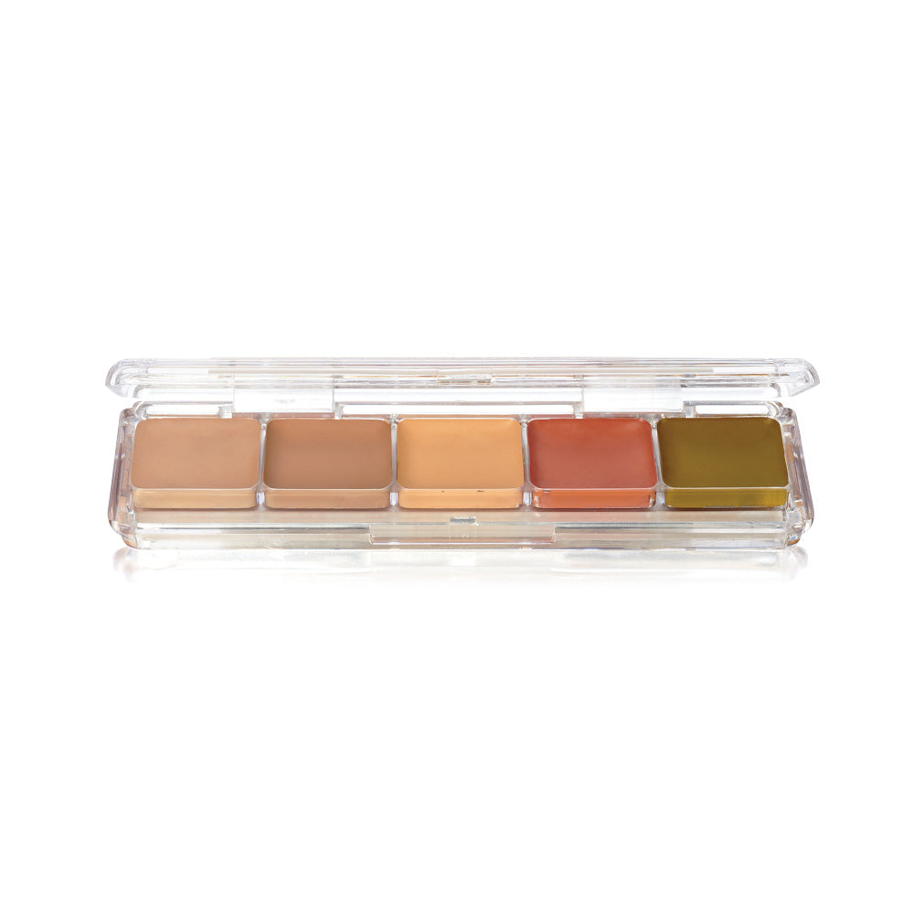 Alcohol Concealer Palette