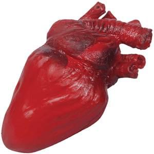 Bloody Heart Prop