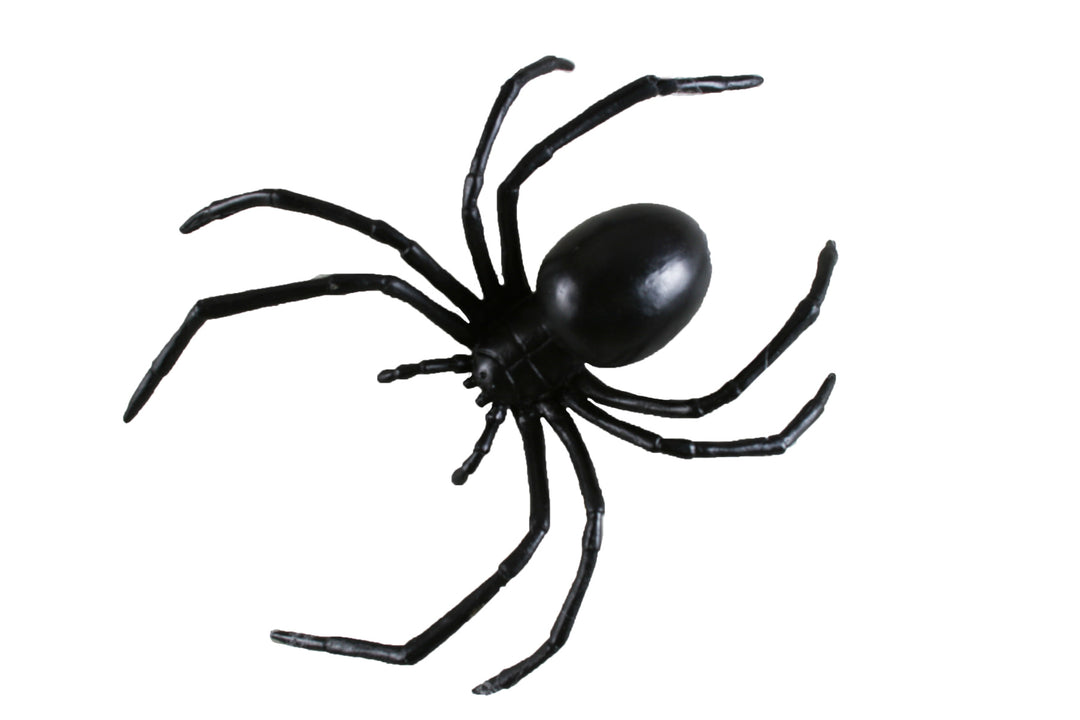 Black Widow Spider 6" Prop