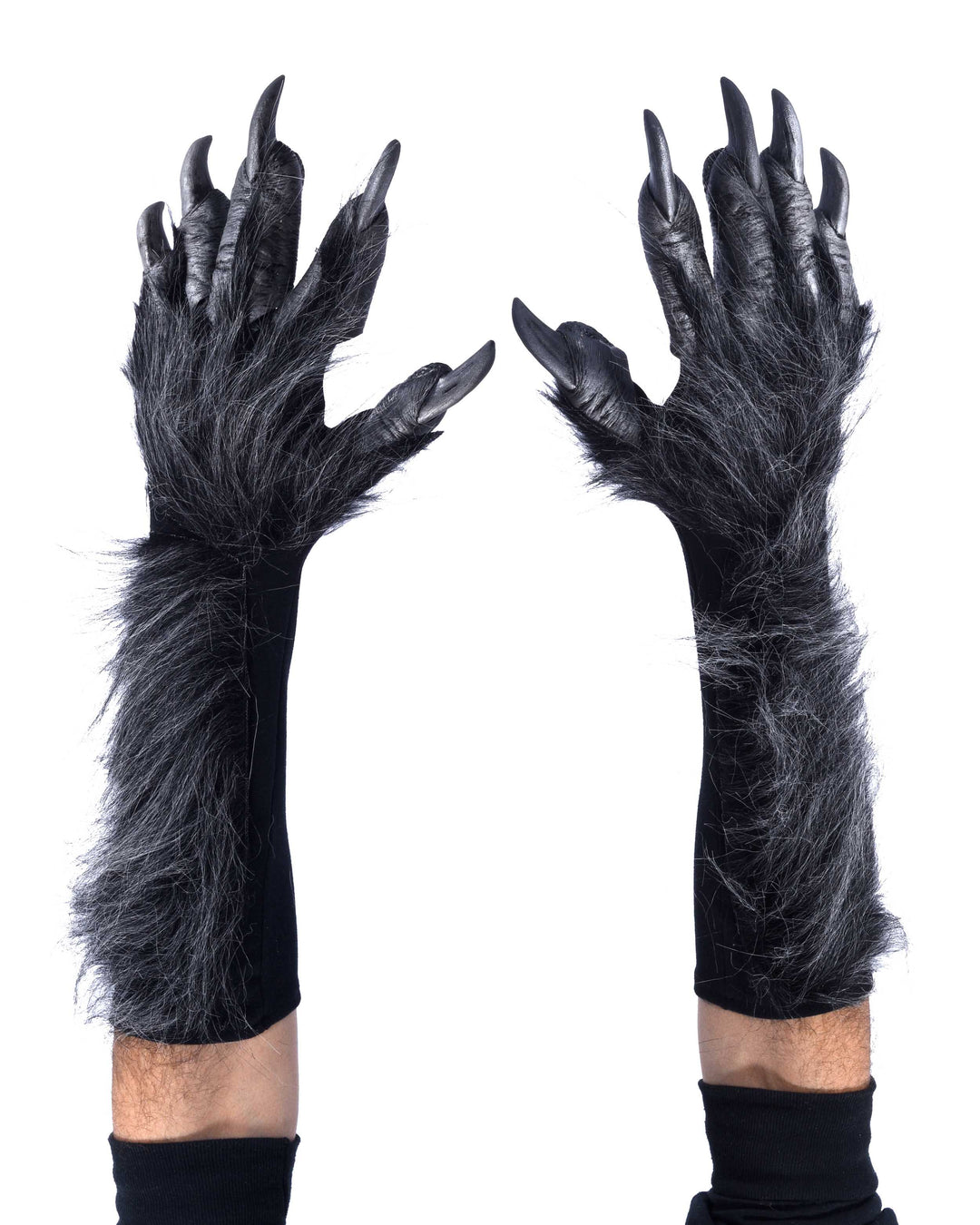 New Grey Killer Wolf Hands