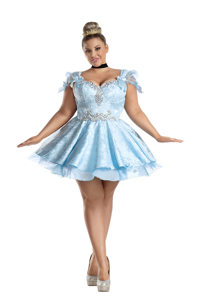 Plus Size Lost Slipper Princess Costume