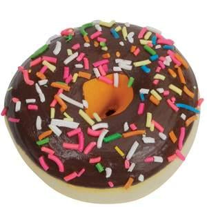 Rubber Chocolate Donut