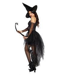 Wicked, Wicked Witch Adult Costume