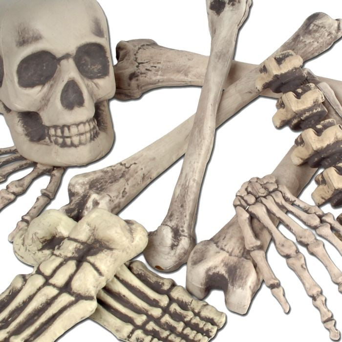 Bag of Bones & Skull