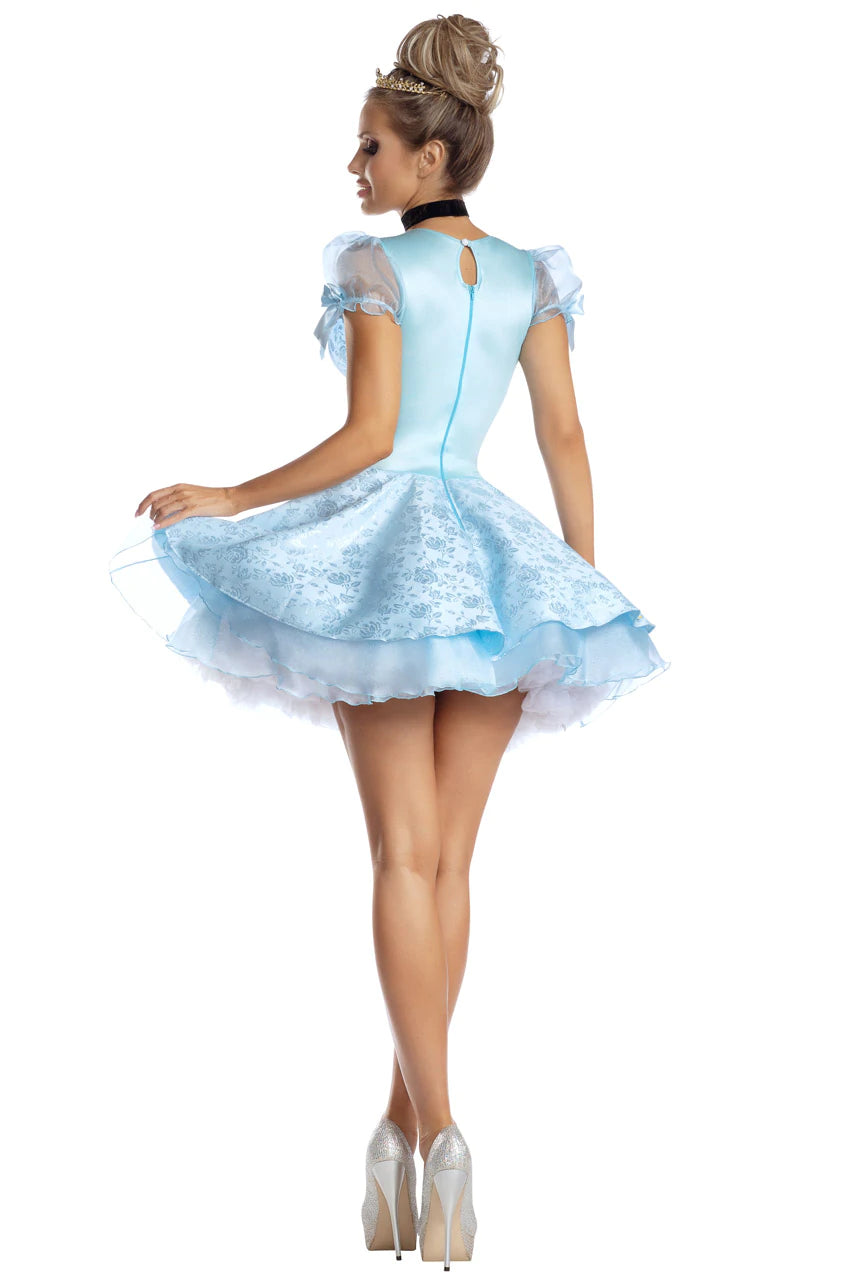 Lost Slipper Princess Costume